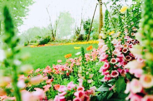 園冶杯專業獎:莫干山路綜合整治工程