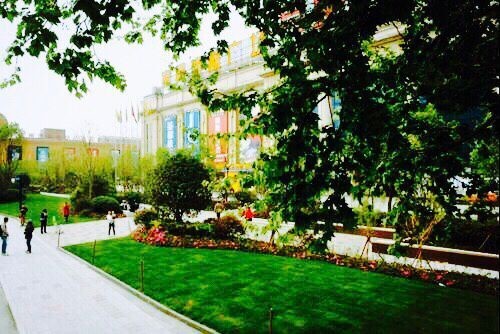 園冶杯專業獎:莫干山路綜合整治工程