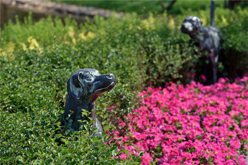 園冶杯專業獎:哈爾濱萬達酒店群