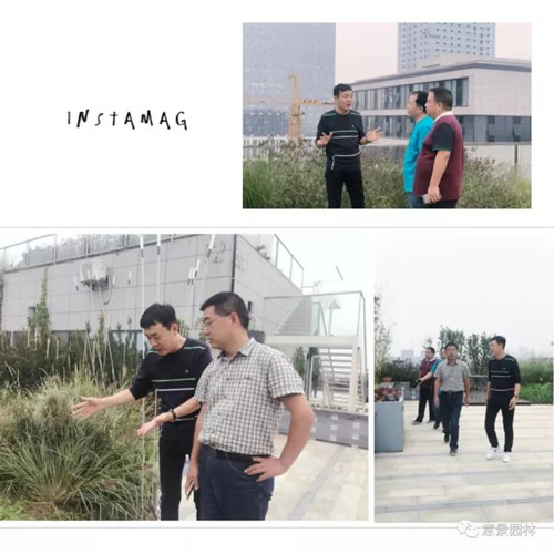 意景園林總部屋頂花園吸引“海綿”愛好者