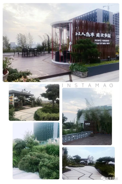 意景園林總部屋頂花園吸引“海綿”愛好者