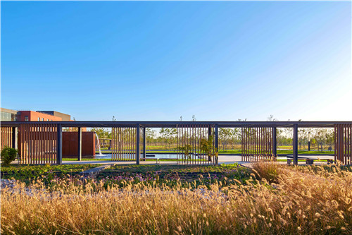 園冶杯項目:衡水威克多總部產業園景觀計劃