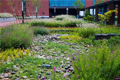 園冶杯項目:衡水威克多總部產業園景觀計劃