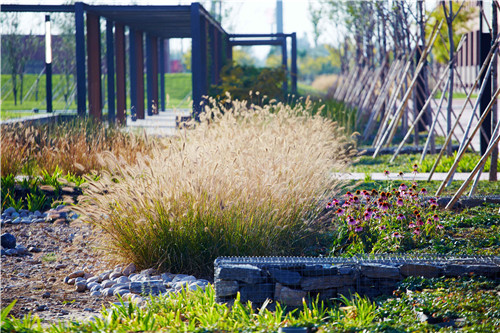 園冶杯項目:衡水威克多總部產業園景觀計劃