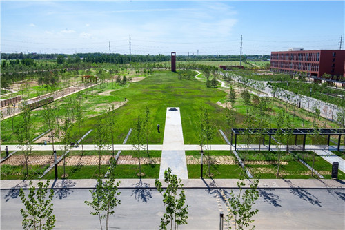 園冶杯項目:衡水威克多總部產業園景觀計劃