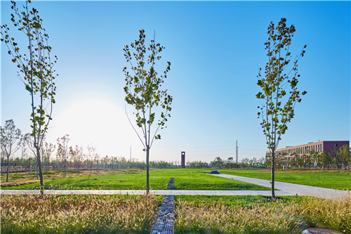園冶杯項目:衡水威克多總部產業園景觀計劃