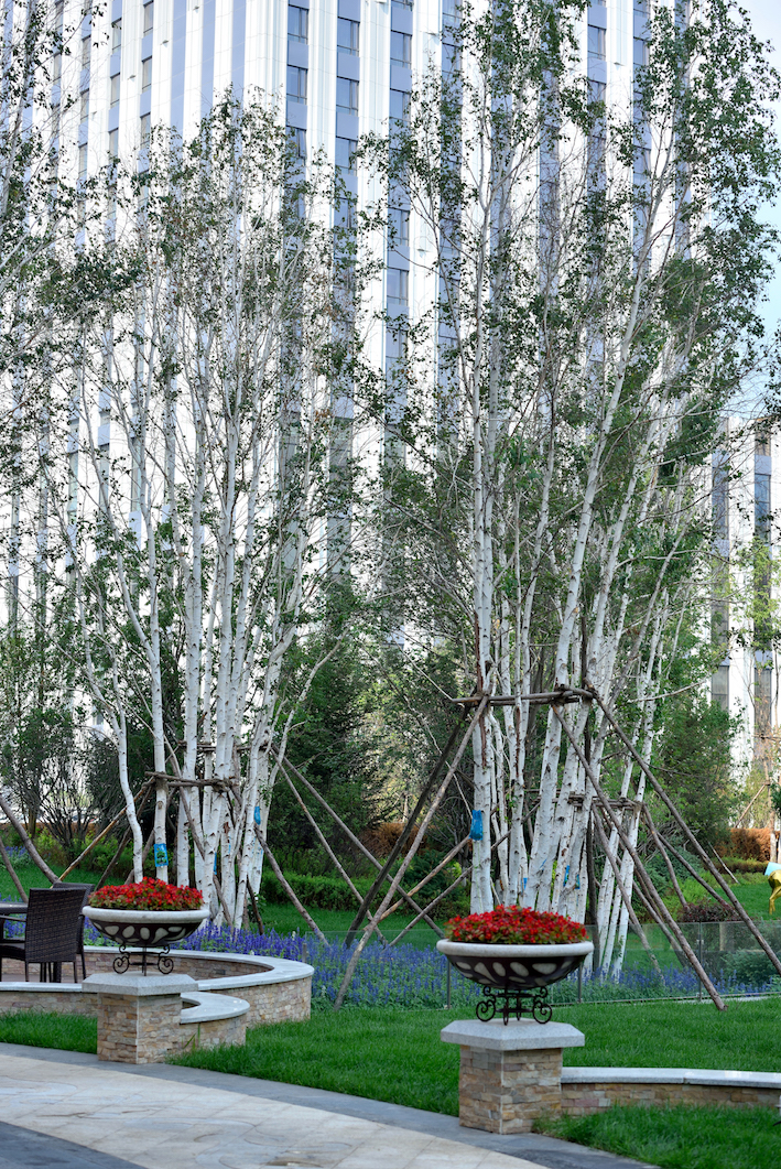 園冶杯專業獎：哈爾濱萬達酒店群