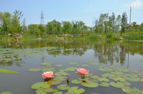 園冶杯專業獎:安慶康熙河景觀工程