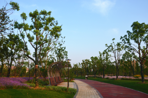 園冶杯專業獎:安慶康熙河景觀工程