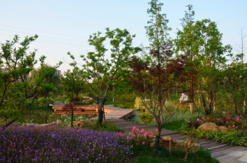 園冶杯專業獎:安慶康熙河景觀工程