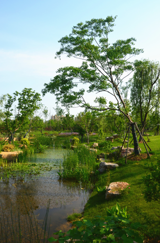 園冶杯專業獎:安慶康熙河景觀工程