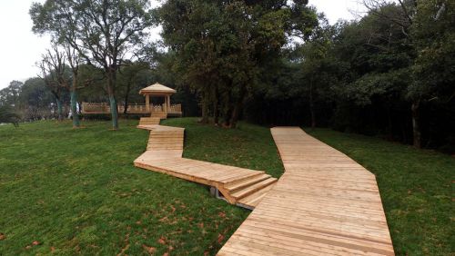 園冶杯專業獎：金溪縣香樟森林公園景觀設計