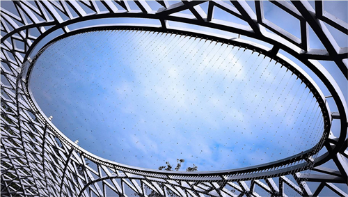 園冶杯專業獎:第十一屆中國園博會上海慧園