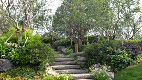 園冶杯專業獎:第十一屆中國園博會上海慧園