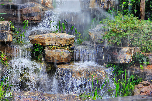 園冶杯專業獎:第十一屆中國園博會上海慧園