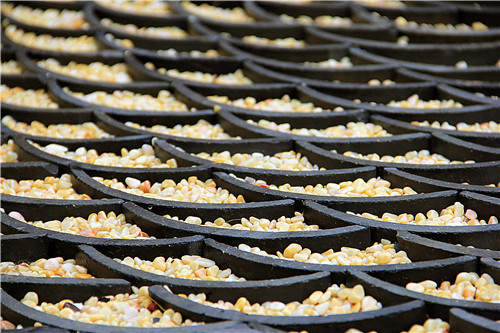 園冶杯專業獎:第十一屆中國園博會上海慧園