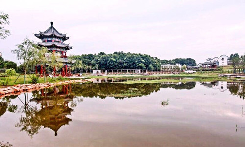 園冶杯專業獎：金溪縣香樟森林公園景觀設計