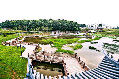 園冶杯專業獎：金溪縣香樟森林公園景觀設計