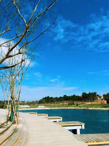 園冶杯專業獎：金溪縣香樟森林公園景觀設計