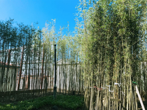 園冶杯專業(yè)獎:天津譽峰園園林景觀工程