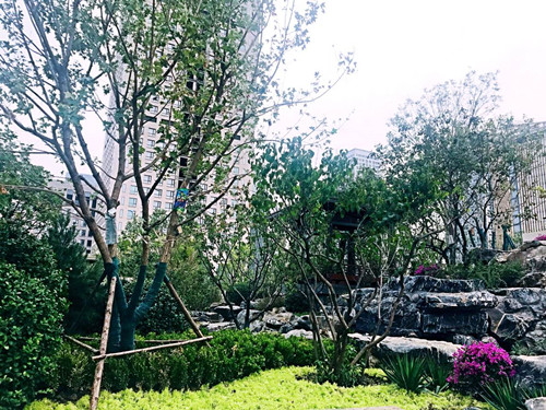 園冶杯專業(yè)獎:天津譽峰園園林景觀工程