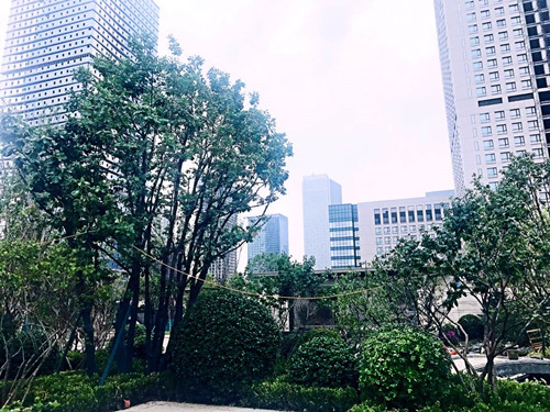 園冶杯專業(yè)獎:天津譽峰園園林景觀工程