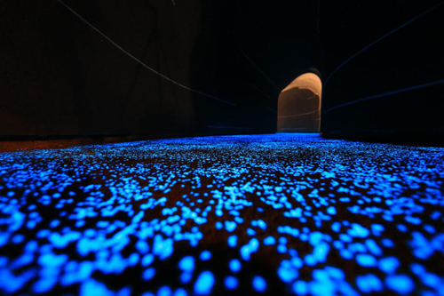 園冶杯專業獎:天津團泊鴻坤理想城景觀設計