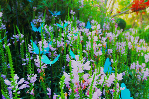 園冶杯專業獎:天津團泊鴻坤理想城景觀設計