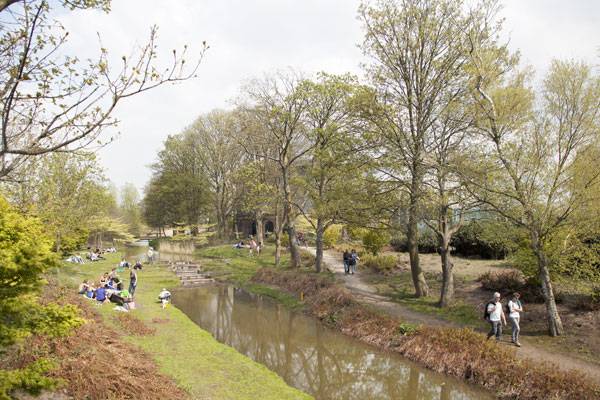 人們?nèi)绾握染坝^并使它社會化