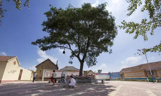 鄉(xiāng)村公共空間打造助推美麗鄉(xiāng)村建設(shè)