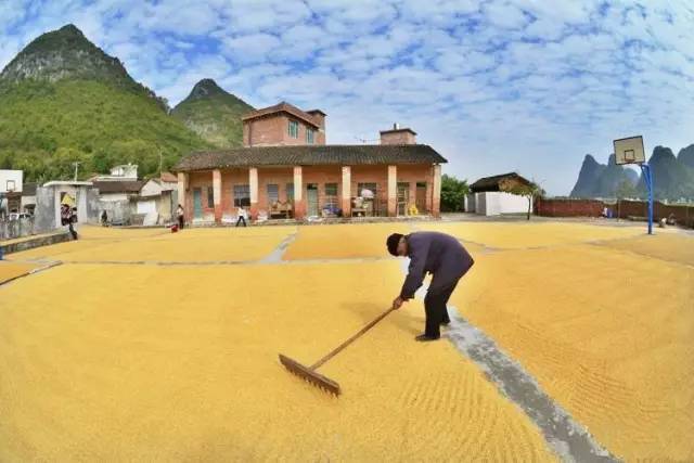 鄉(xiāng)村公共空間打造助推美麗鄉(xiāng)村建設(shè)