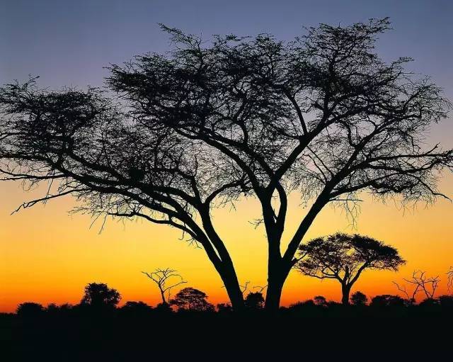 鄉(xiāng)村公共空間打造助推美麗鄉(xiāng)村建設(shè)