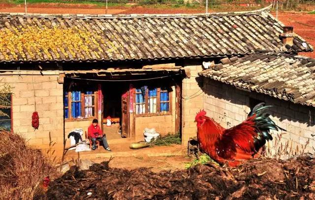 鄉(xiāng)村公共空間打造助推美麗鄉(xiāng)村建設(shè)