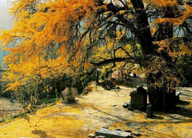 鄉(xiāng)村公共空間打造助推美麗鄉(xiāng)村建設(shè)