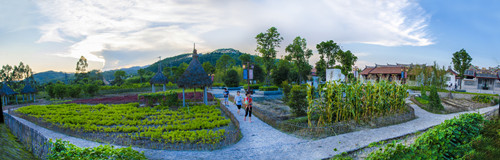 園冶杯專業(yè)獎:閩南文化生態(tài)走廊景觀設(shè)計