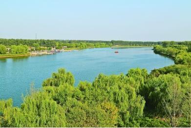 記憶中的大運河回來了