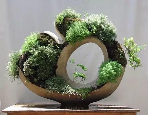 超有創意,是雕塑還是花盆?
