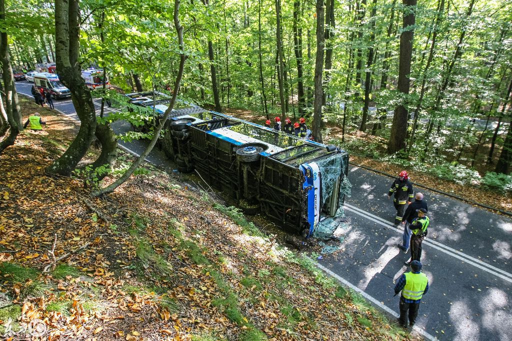 國外一森林公園中城市大巴在森林道路上側翻
