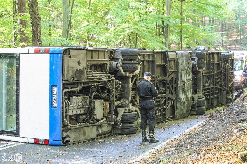 國外一森林公園中城市大巴在森林道路上側翻
