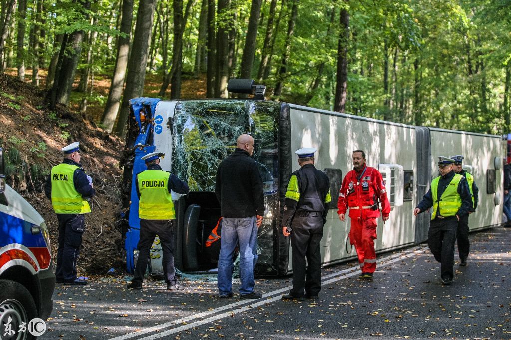國外一森林公園中城市大巴在森林道路上側翻