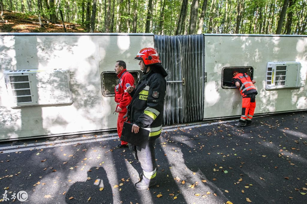 國外一森林公園中城市大巴在森林道路上側翻