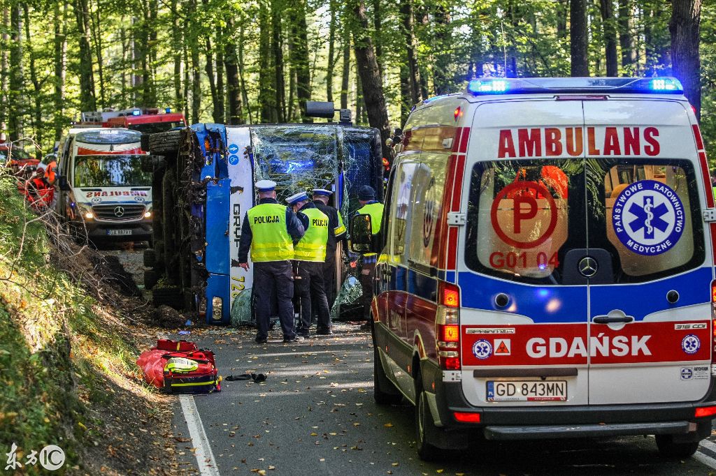 國外一森林公園中城市大巴在森林道路上側翻