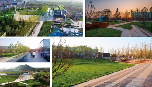 園冶杯專業(yè)獎:魯能唐冶體育公園景觀設計