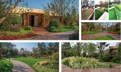 園冶杯專業(yè)獎:魯能唐冶體育公園景觀設計