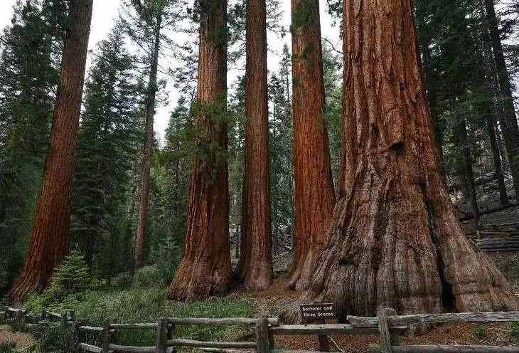 美國國家公園公益個案對中國慈善家的啟示