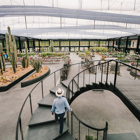 廢棄荒地變仙人掌花園——西班牙“沙漠之城”