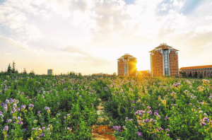 昆明呈貢:打造世界春城花都