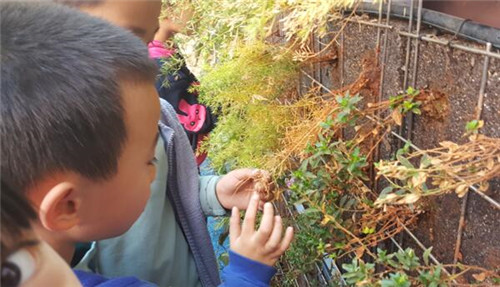 根植快樂認知和體驗的環境設計:幼兒園改造
