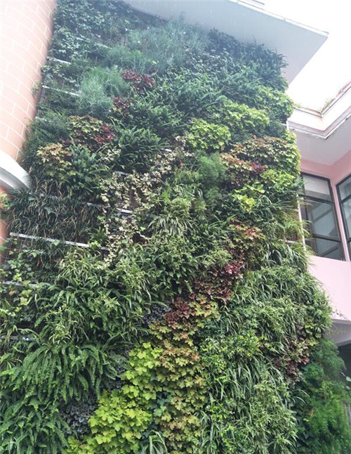 根植快樂認知和體驗的環境設計:幼兒園改造