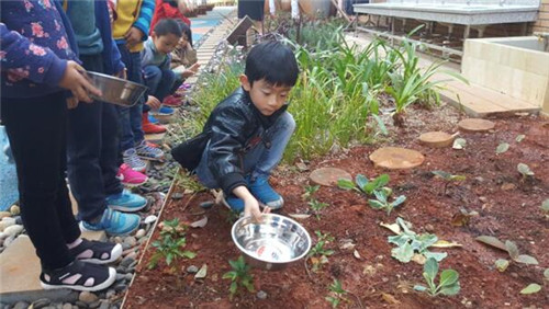根植快樂認知和體驗的環境設計:幼兒園改造